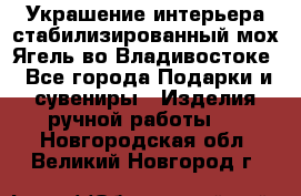 Украшение интерьера стабилизированный мох Ягель во Владивостоке - Все города Подарки и сувениры » Изделия ручной работы   . Новгородская обл.,Великий Новгород г.